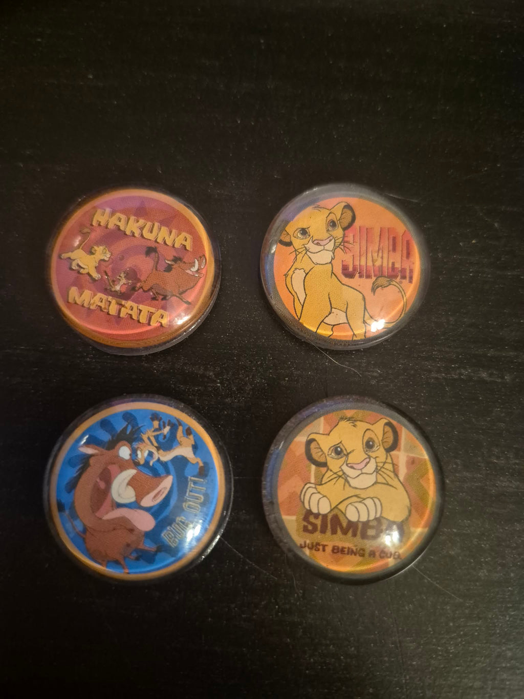 Lion King Magnets