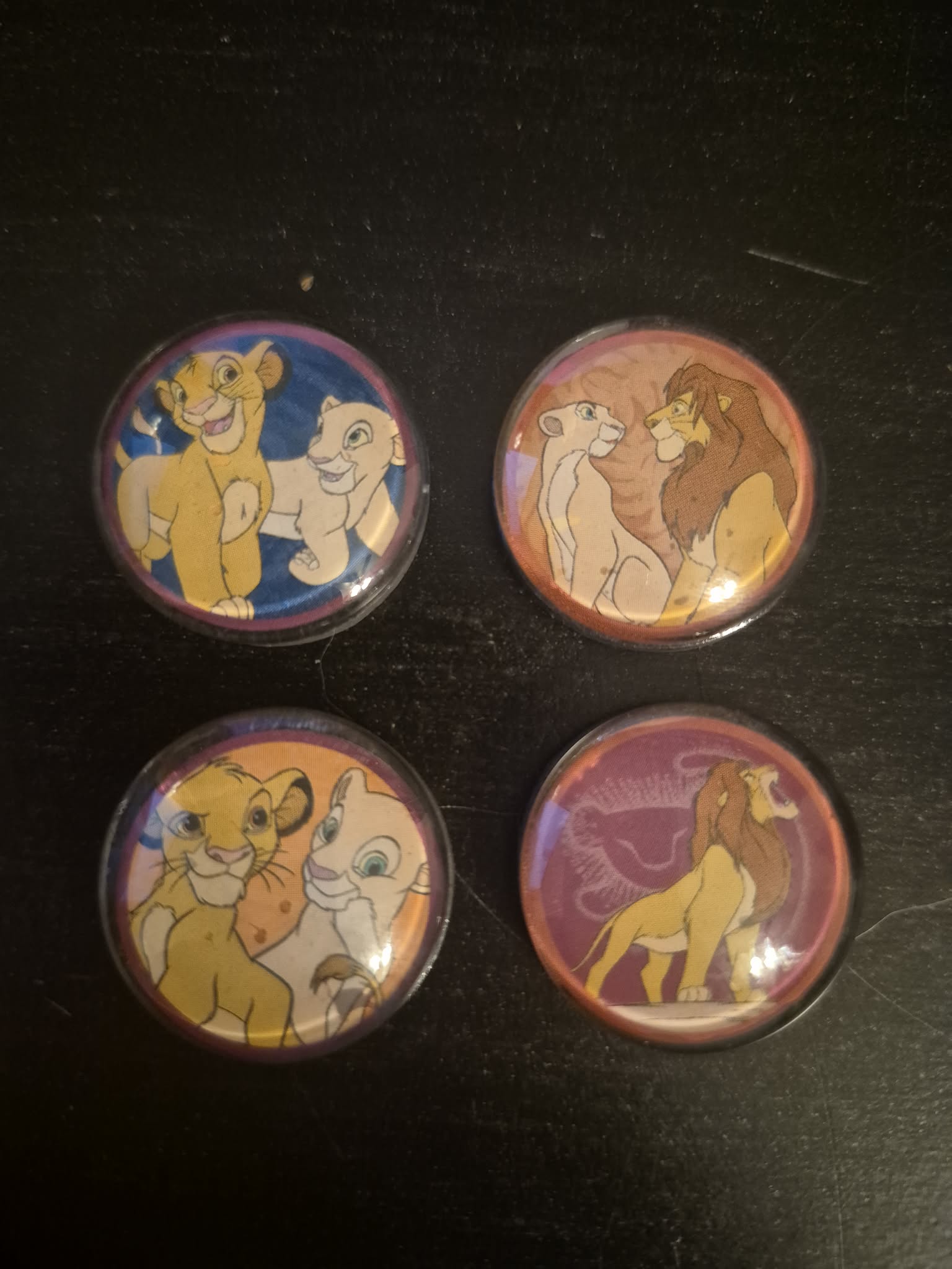 Lion King Magnets